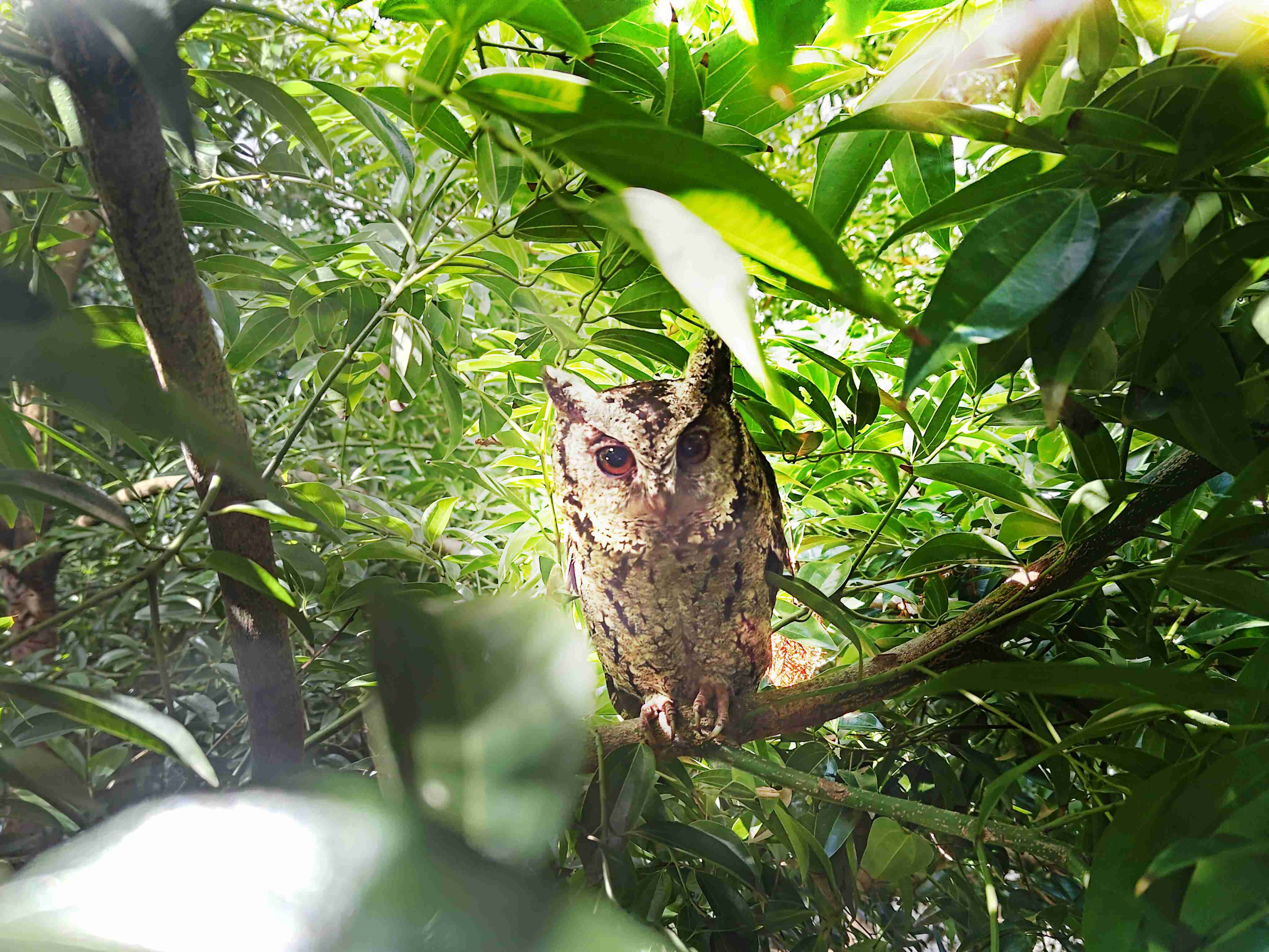 赏金国际致力提倡净零绿生活，，，，16年以来在全球各厂区植树逾百万棵，，造就各厂区树木蔚然成林，，犹如森林工厂，，，，成为许多生物的栖息地